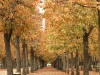 Jardin des Tuileries