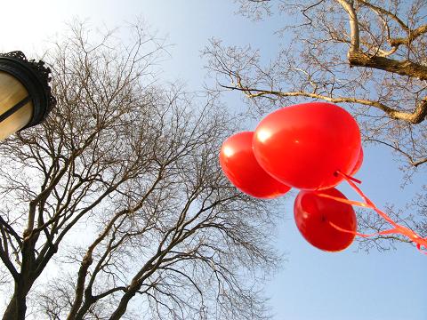 kruipen band Radioactief The cherry blossom girl( les ballons rouges )