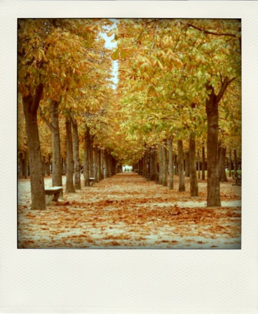 tuileries-123-pola02