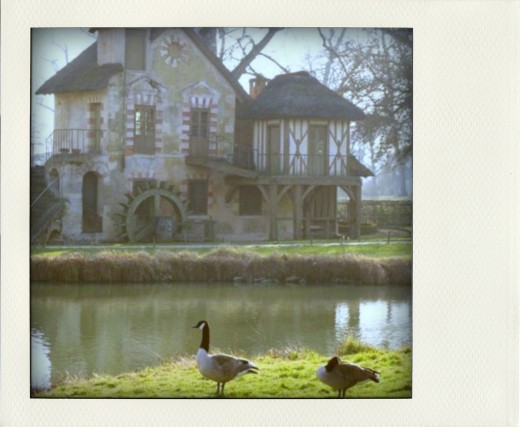 versailles77-pola01