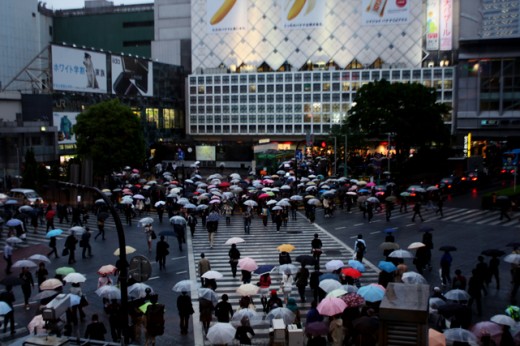 shibuya-in-the-rain-2