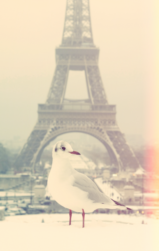 paris-neige-20