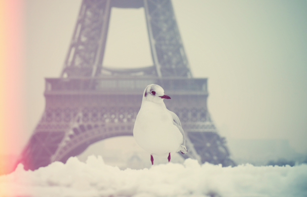 paris-neige-3