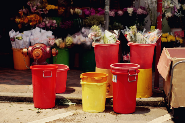 hong-kong-flower-market-06