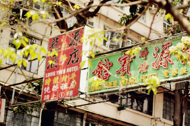 hong-kong-flower-market-08