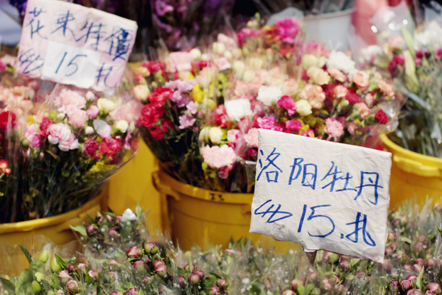 hong-kong-flower-market-11