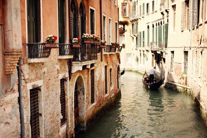 The cherry blossom girlDeath in Venice