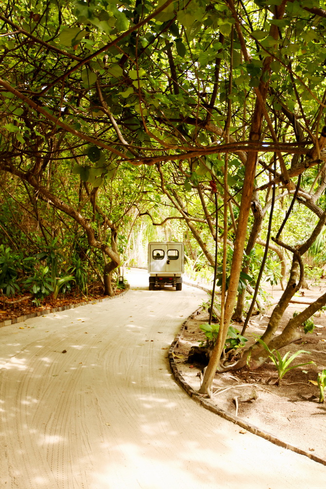 The Cherry Blossom Girl - Maldives 15