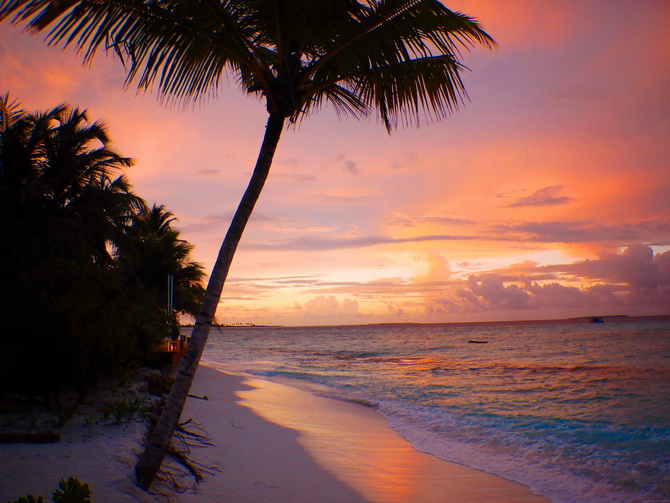 The Cherry Blossom Girl - Maldives 29