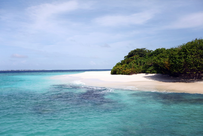 The Cherry Blossom Girl - Maldives 111