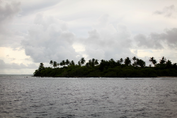 The Cherry Blossom Girl - Maldives 133