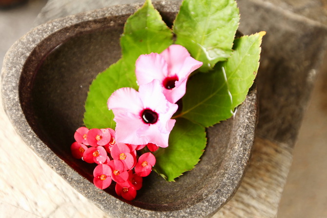 The Cherry Blossom Girl - Maldives 70