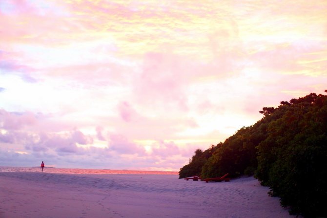 The Cherry Blossom Girl - Maldives 78