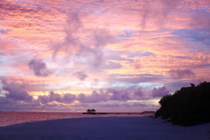 The Cherry Blossom Girl - Maldives 79