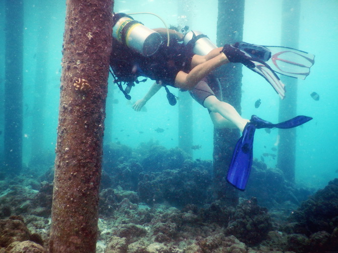 The Cherry Blossom Girl - Maldives 96