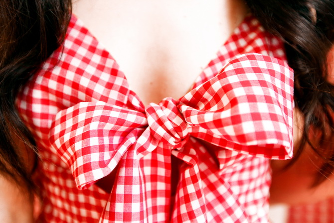 Vichy Gingham 14