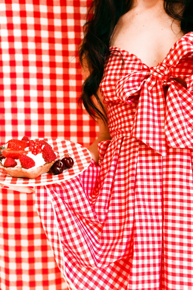 Vichy Gingham 15