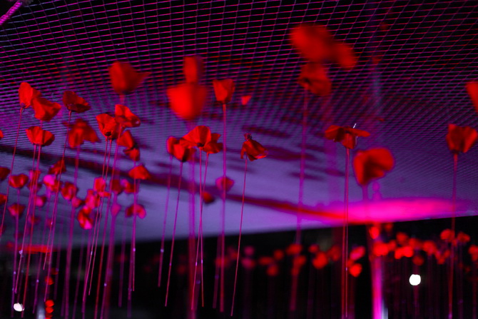 Kenzo Flower in the air 05