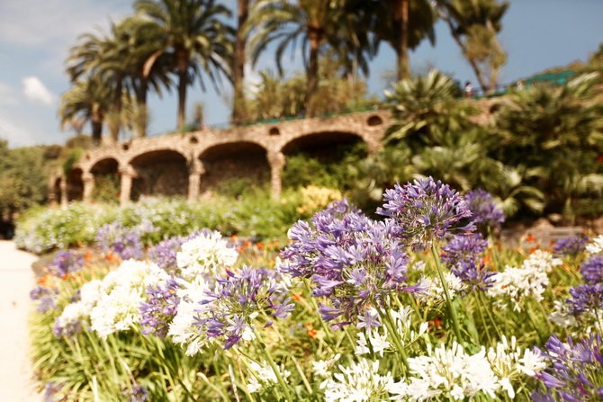 Parc Guell 22