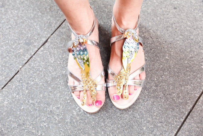 miu miu parrots sandals