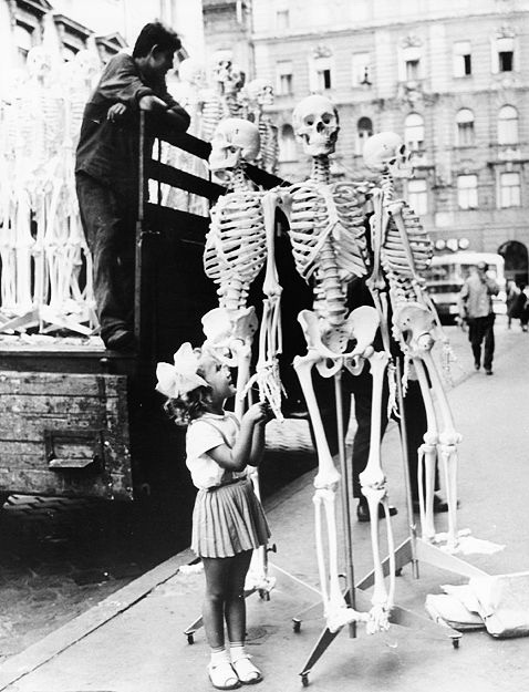 Little girl with biology class skeletons in Hungary 1966