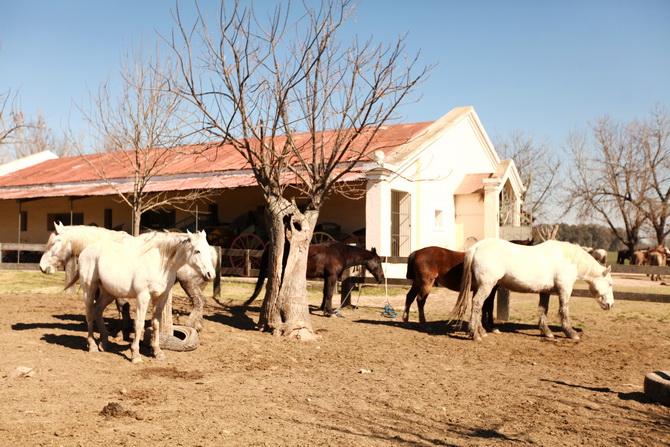 Estantia El Ombu - San Antonio De Areco - Argentina 21