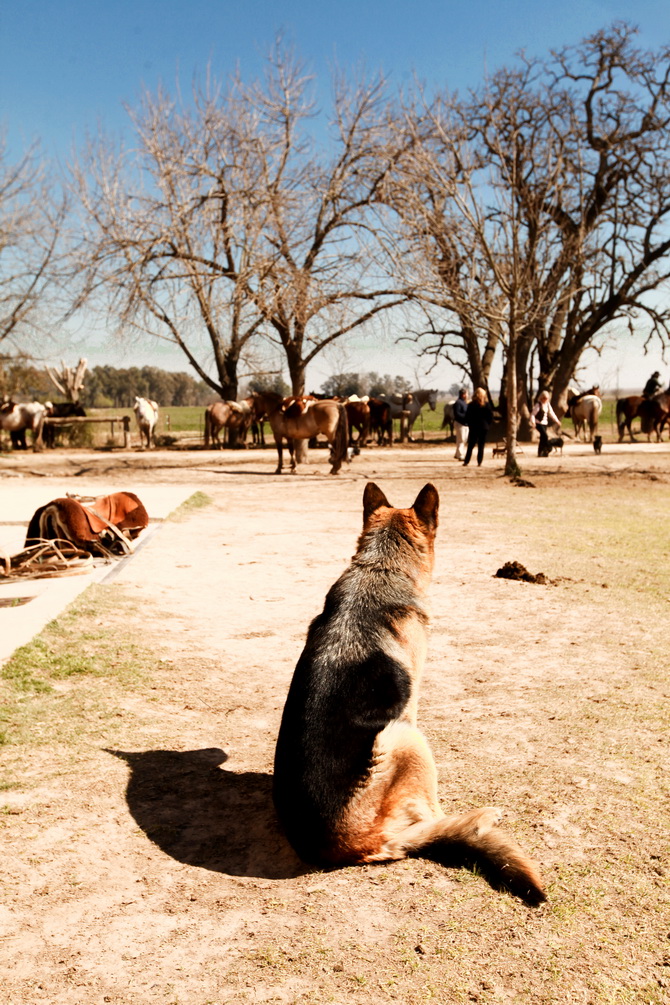 Estantia El Ombu - San Antonio De Areco - Argentina 24