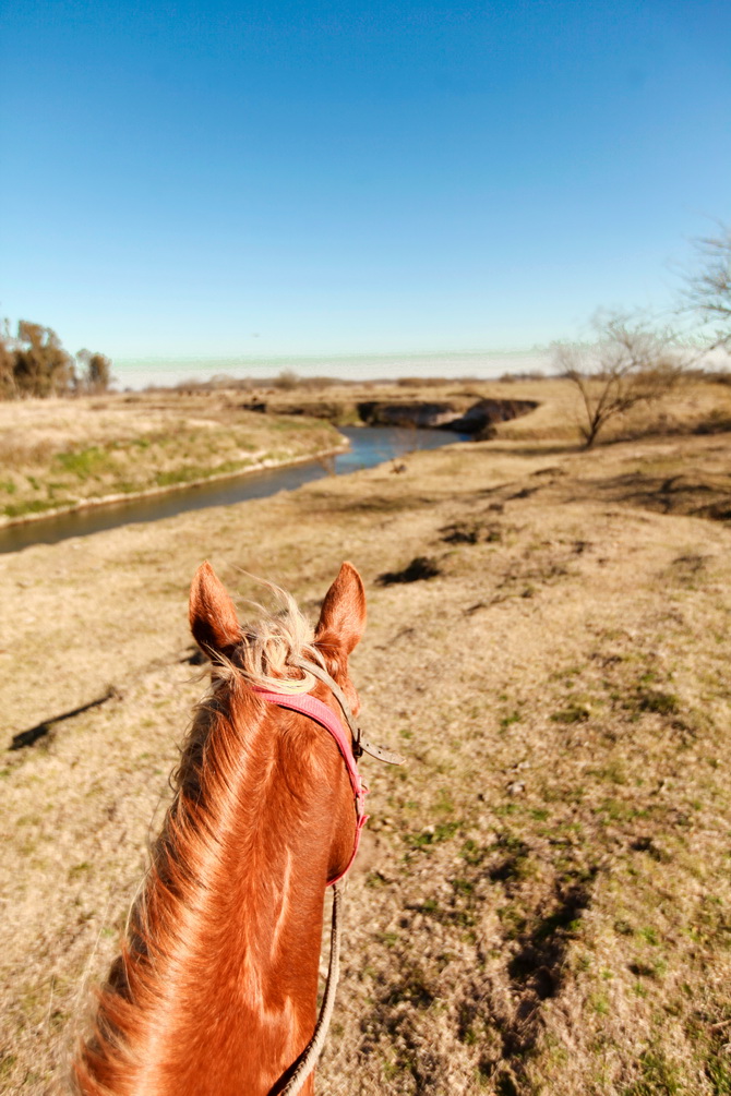 Estantia El Ombu - San Antonio De Areco - Argentina 46