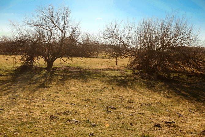 Estantia El Ombu - San Antonio De Areco - Argentina 47