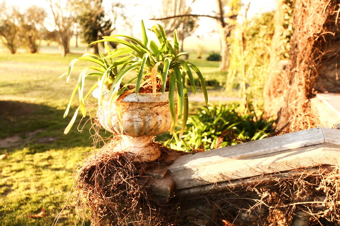 Estantia El Ombu - San Antonio De Areco - Argentina 51