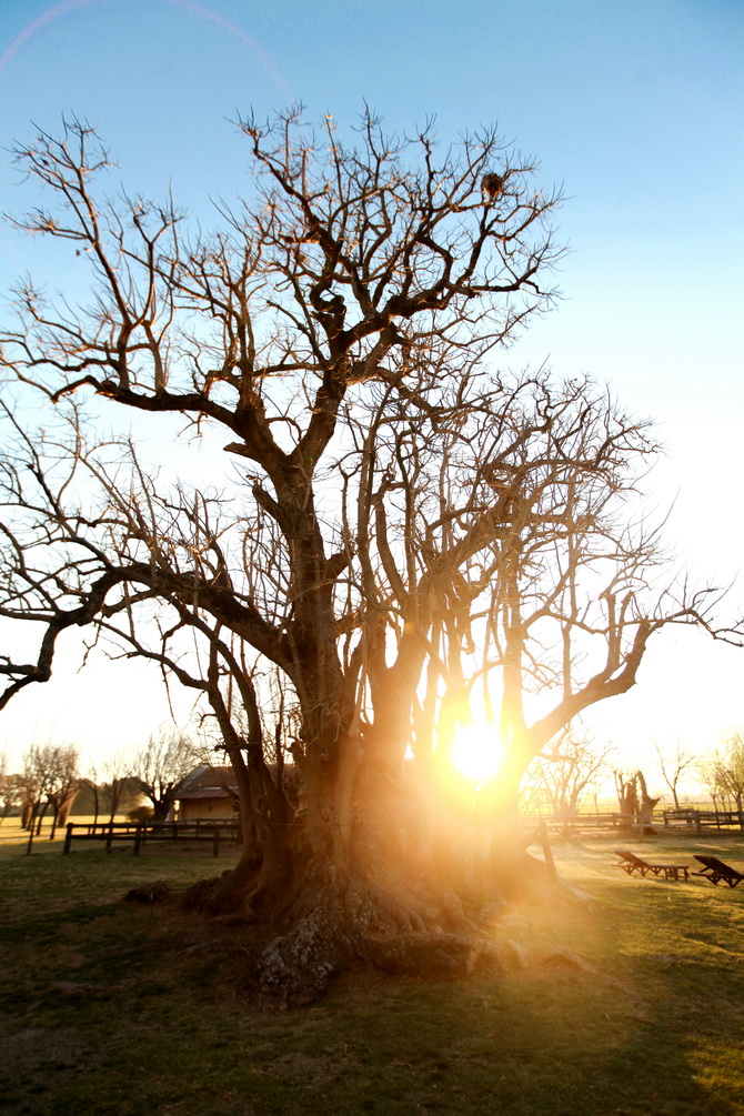 Estantia El Ombu - San Antonio De Areco - Argentina 53