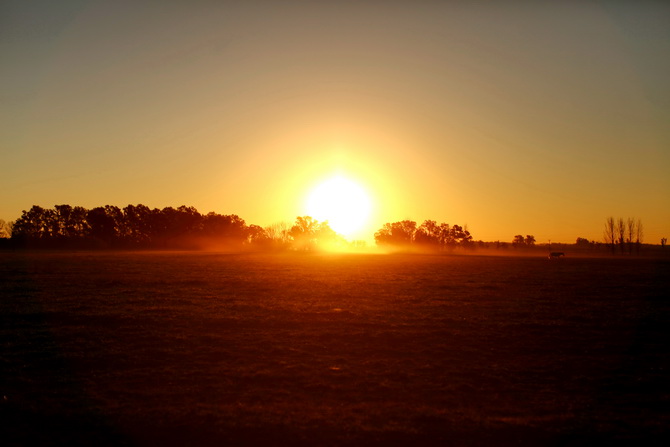 Estantia El Ombu - San Antonio De Areco - Argentina 55