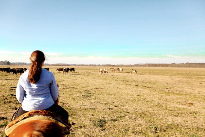 Estantia El Ombu - San Antonio De Areco - Argentina 78