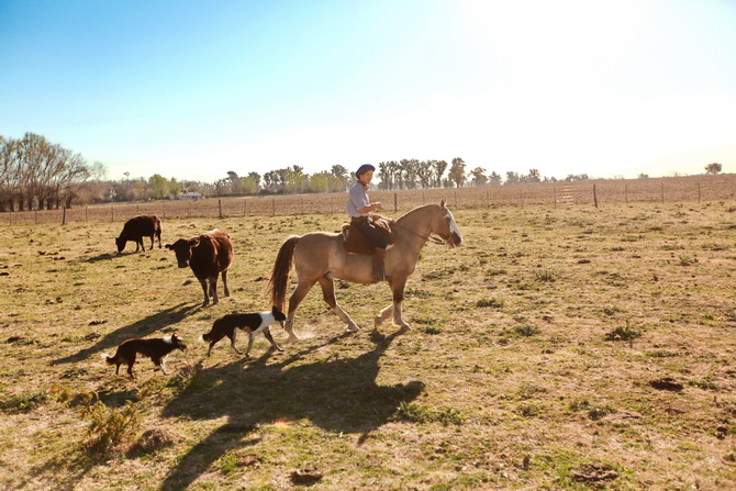 Estantia El Ombu - San Antonio De Areco - Argentina 79