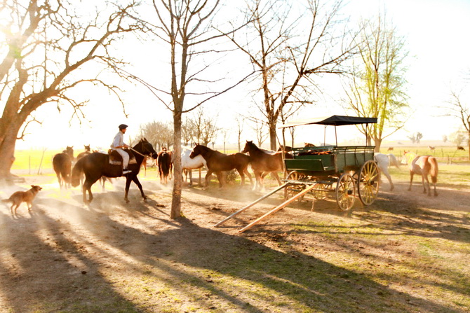 Estantia El Ombu - San Antonio De Areco - Argentina 81