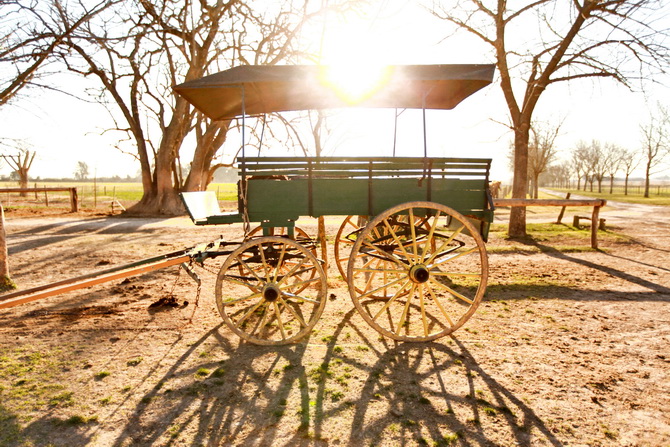 Estantia El Ombu - San Antonio De Areco - Argentina 83