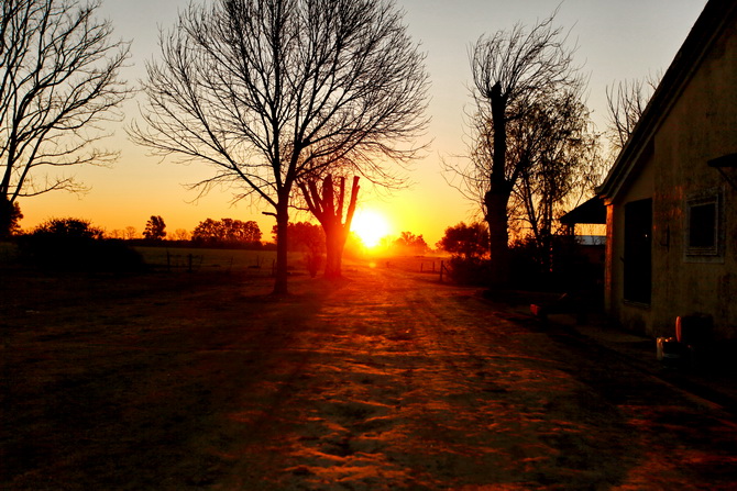 Estantia El Ombu - San Antonio De Areco - Argentina 88