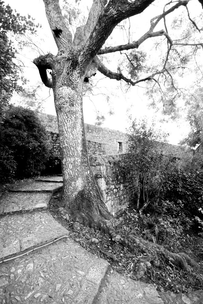 Mont St Michel - The Cherry Blossom Girl 35