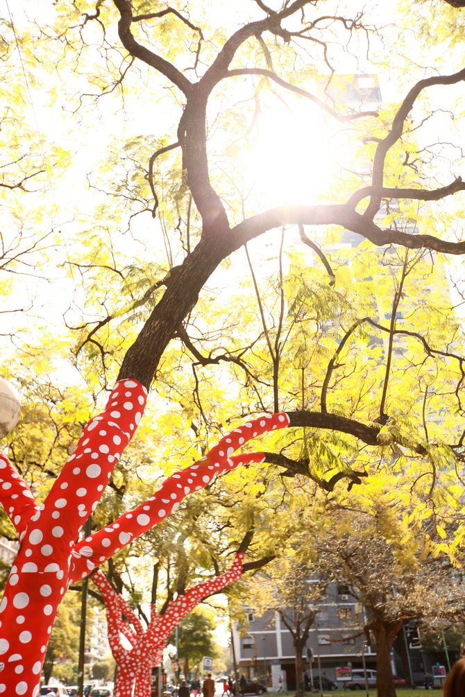 Yayoi Kusama - Buenos Aires 15