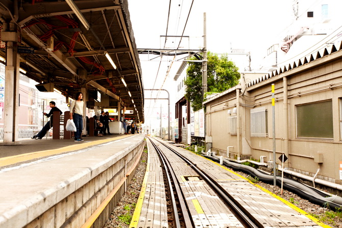 The Cherry Blossom Girl - Shimokitazawa 11