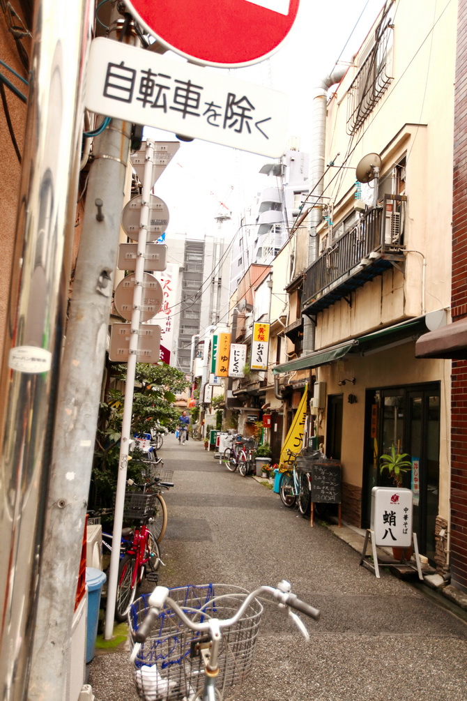 The Cherry Blossom Girl - Yanaka 06