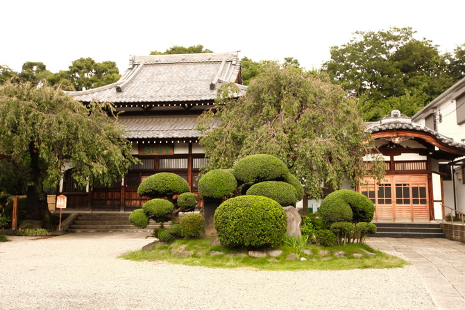 The Cherry Blossom Girl - Yanaka 07