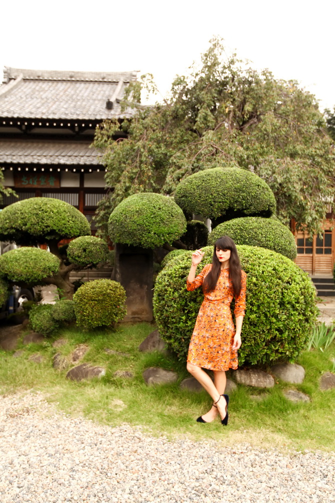 The Cherry Blossom Girl - Yanaka 12