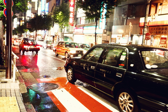 Shinjuku - The Cherry Blossom Girl 02