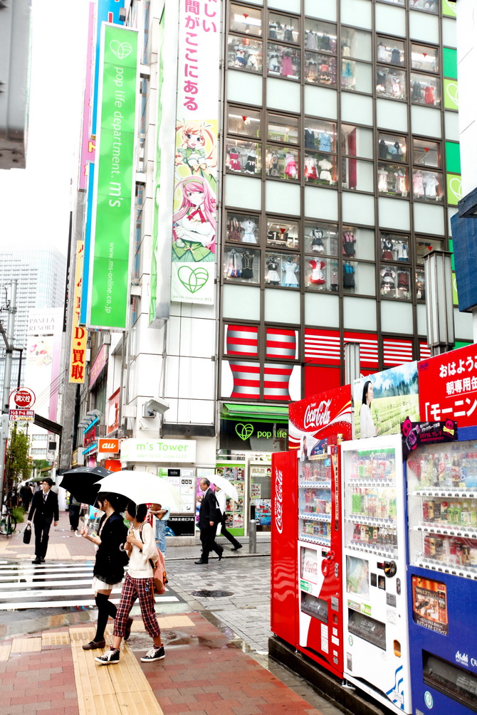 The Cherry Blossom Girl - Akihabara 06