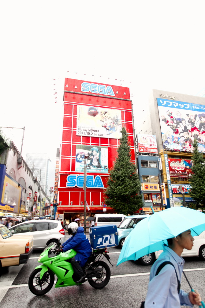 The Cherry Blossom Girl - Akihabara 12