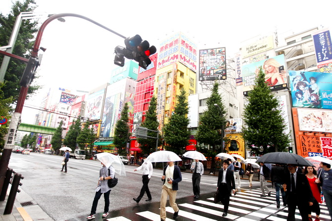 The Cherry Blossom Girl - Akihabara 13