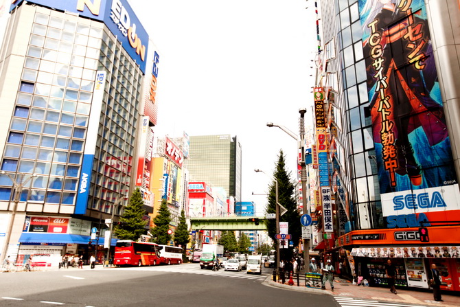 The Cherry Blossom Girl - Akihabara 16