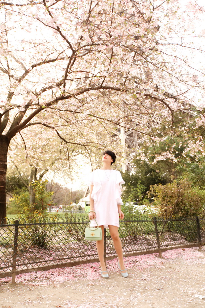 The Cherry Blossom Girl - Blossoms at the Eiffel Tower 02