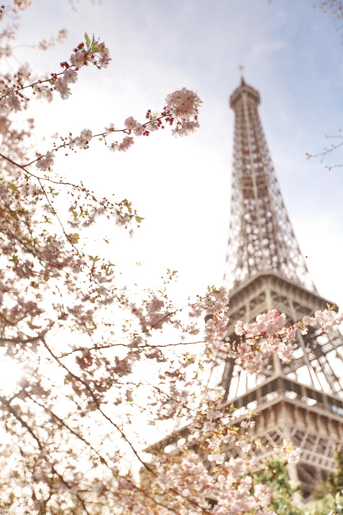 The Cherry Blossom Girl - Blossoms at the Eiffel Tower 16